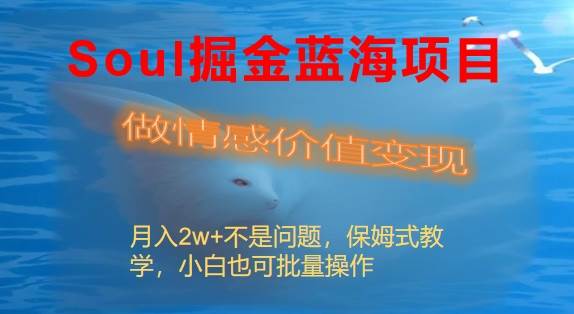 Soul掘金蓝海项目细分赛道，做情感价值变现，月入2w+不是问题-金创谷