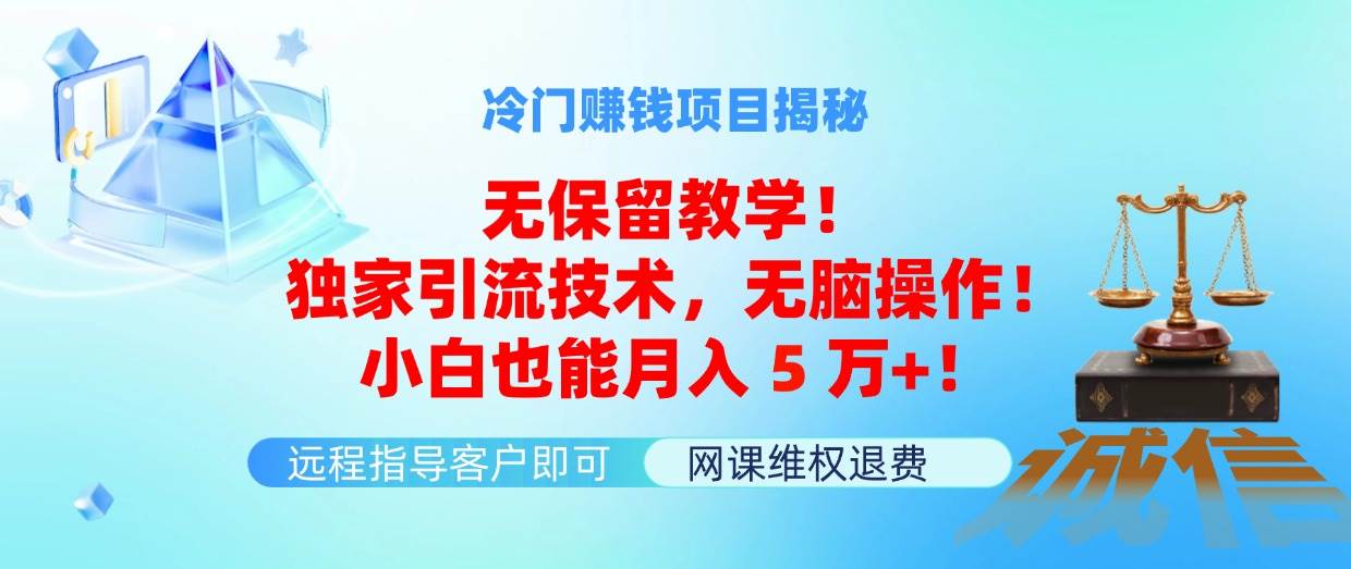 冷门赚钱项目无保留教学！独家引流技术，无脑操作！小白也能月入5万+！-金创谷
