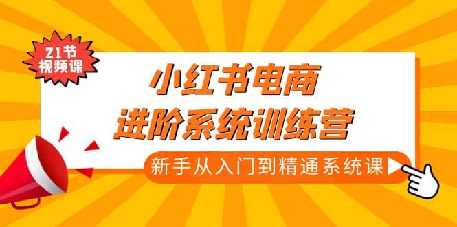 小红书电商进阶系统训练营：新手从入门到精通系统课（21节视频课）-金创谷