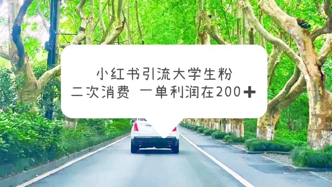小红书引流大学生粉，变现项目，一单利润在200+（教程+资源）-金创谷
