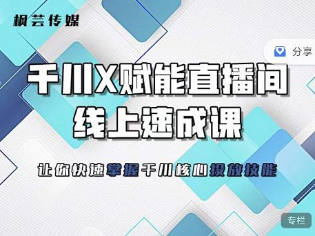 枫芸传媒-线上千川提升课，提升千川认知，提升千川投放效果-金创谷