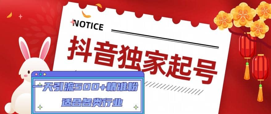 抖音独家起号，适合各类行业（9节视频课）-金创谷