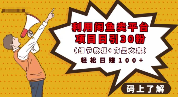 利用闲鱼卖平台项目课程资源日引流30+精准粉丝，轻松日赚100+，积累人脉可实现二次变现（细节教程+商品文案）-金创谷
