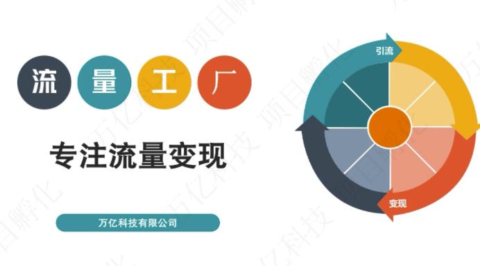 收费3980的流量工厂回粉项目，号称1个粉10元【详细玩法教程解析】-金创谷
