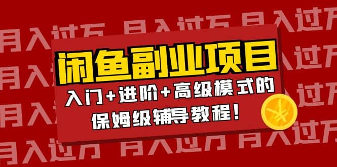 月入过万闲鱼副业项目：入门+进阶+高级模式的保姆级辅导教程-金创谷