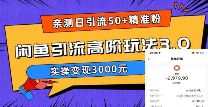 实测日引50+精准粉，闲鱼引流高阶玩法3.0，实操变现3000元-金创谷