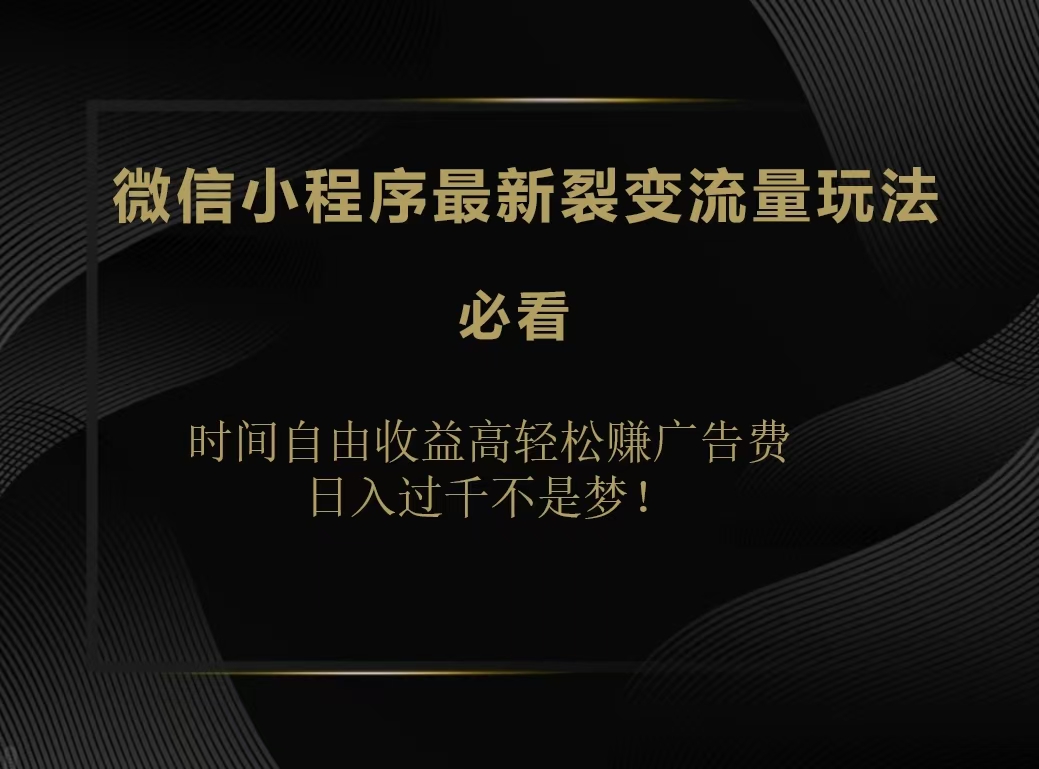 微信小程序最新裂变流量玩法，时间自由收益高轻松赚广告费，日入200-500+-金创谷