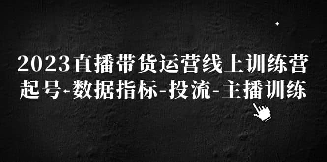 2023直播带货运营线上训练营，起号-数据指标-投流-主播训练-金创谷