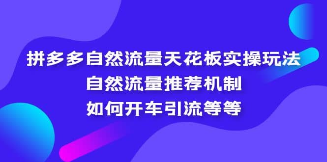 拼多多自然流量天花板实操玩法：自然流量推荐机制，如何开车引流等等-金创谷