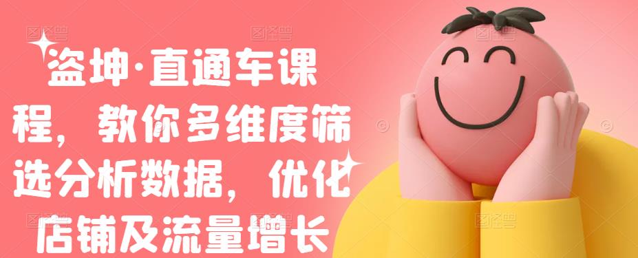 盗坤·直通车课程，教你多维度筛选分析数据，优化店铺及流量增长-金创谷