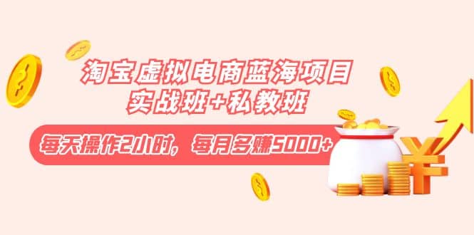 淘宝虚拟电商蓝海项目实战班+私教班-金创谷