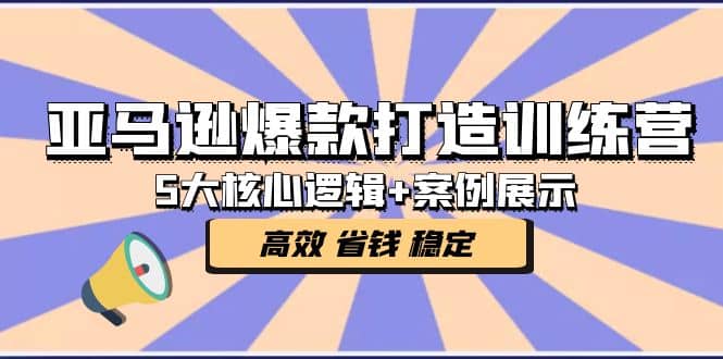 亚马逊爆款打造训练营：5大核心逻辑+案例展示 打造爆款链接 高效 省钱 稳定-金创谷