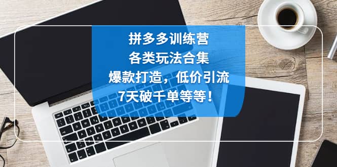 拼多多训练营：各玩法合集，爆款打造，低价引流，7天破千单等等-金创谷