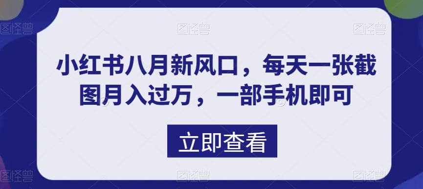 八月新风口，小红书虚拟项目一天收入1000+，实战揭秘-金创谷