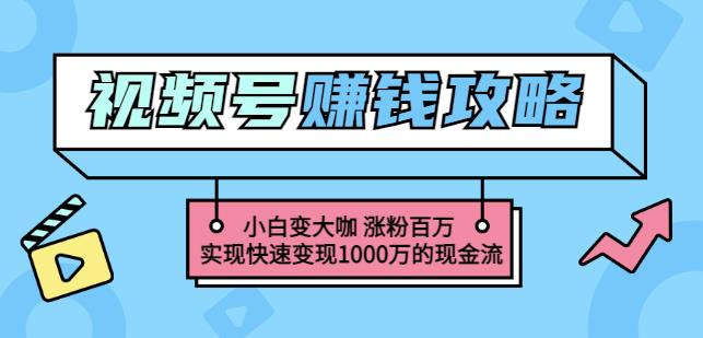 玩转微信视频号赚钱：小白变大咖涨粉百万实现快速变现1000万的现金流-金创谷