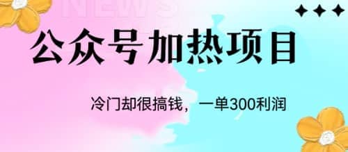 冷门公众号加热项目，一单利润300+-金创谷