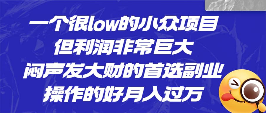 一个很low的小众项目，但利润非常巨大，闷声发大财的首选副业，月入过万-金创谷