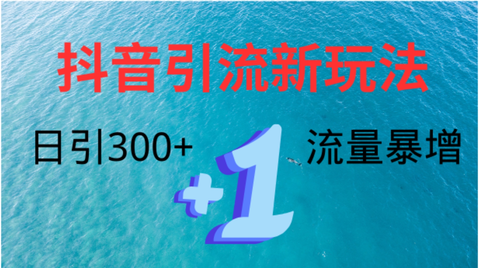 创业粉高效引流，抖音工具号玩法4.0，日引300+-金创谷