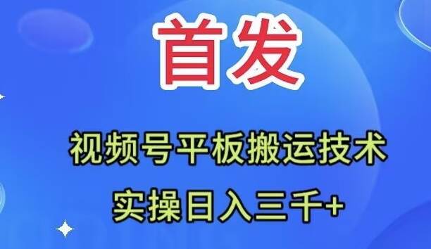 全网首发：视频号平板搬运技术，实操日入三千＋-金创谷