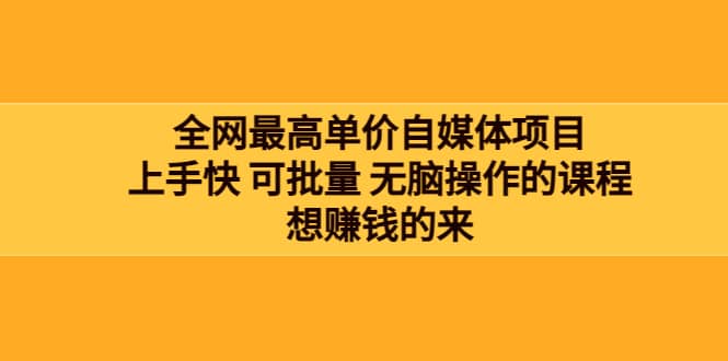 全网最单高价自媒体项目：上手快 可批量 无脑操作的课程，想赚钱的来-金创谷