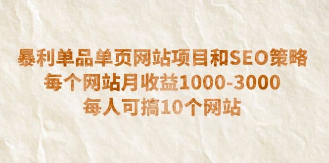 暴利单品单页网站项目和SEO策略 每个网站月收益1000-3000 每人可搞10个-金创谷