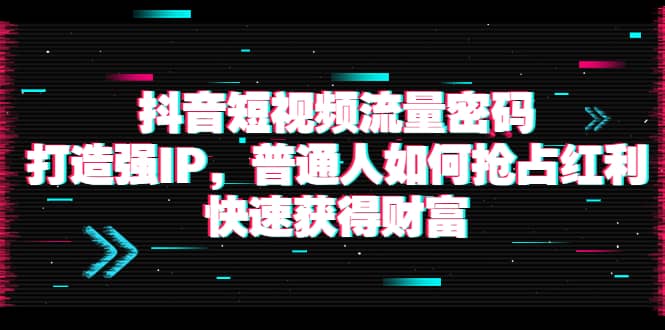 抖音短视频流量密码：打造强IP，普通人如何抢占红利，快速获得财富-金创谷