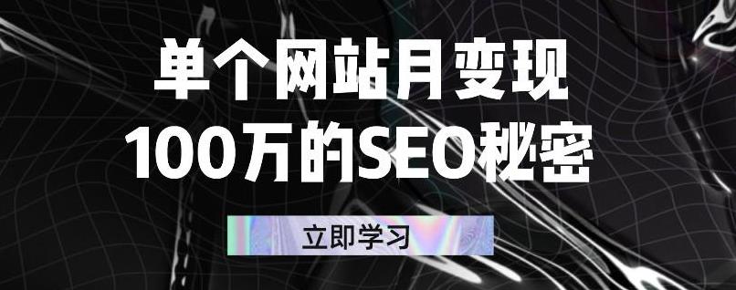 单个网站月变现100万的SEO秘密，百分百做出赚钱站点-金创谷