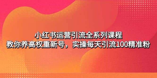 小红书运营引流全系列课程：教你养高权重新号-金创谷