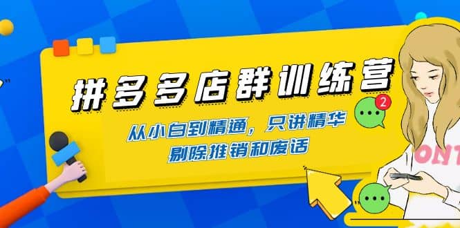 拼多多店群训练营：从小白到精通，只讲精华，剔除推销和废话-金创谷