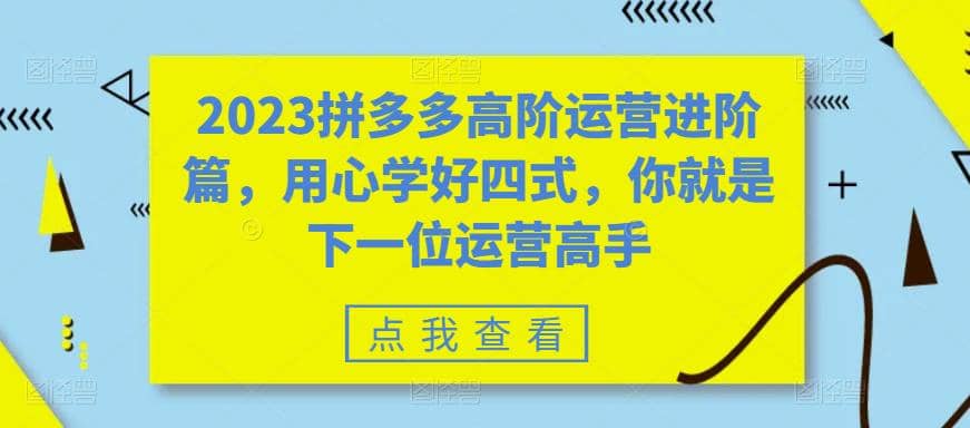 2023拼多多高阶运营进阶篇，用心学好四式，你就是下一位运营高手-金创谷
