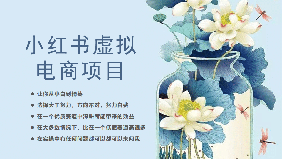 小红书虚拟电商从0到1，让你从小白到精英（20节实操课程）-金创谷