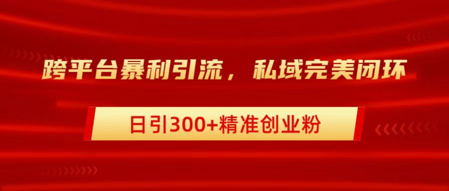 跨平台暴力引流，私域完美闭环，日引300+精准创业粉-金创谷