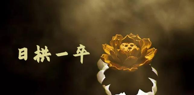 无脑搬砖，普通人可以复制的副业赚钱项目(附软件)-金创谷