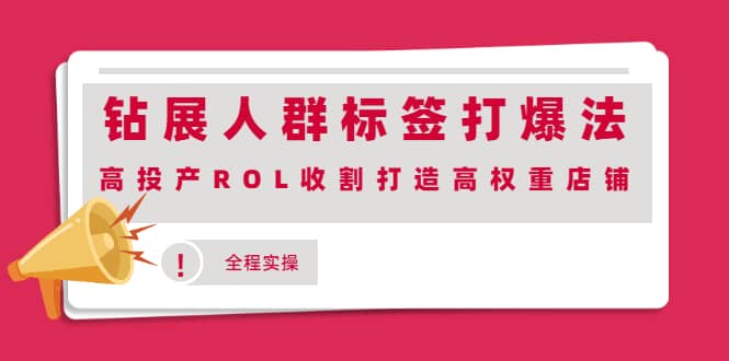 钻展人群标签打爆法，高投产ROL收割打造高权重店铺(全程实操)-金创谷