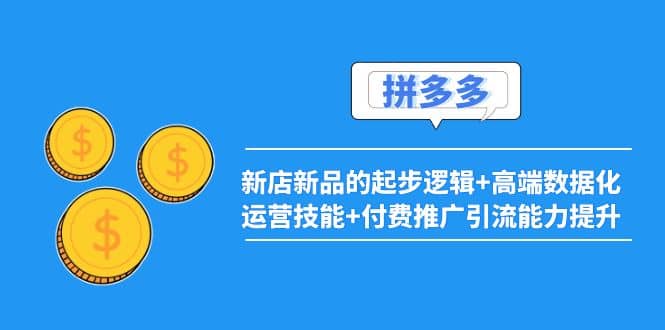 2022拼多多：新店新品的起步逻辑+高端数据化运营技能+付费推广引流能力提升-金创谷