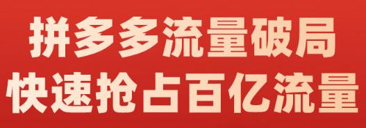 阿杰·拼多多流量破局:如何打黑标，爆款的思路，拼多多流量框架，快速抢占百亿流量-金创谷