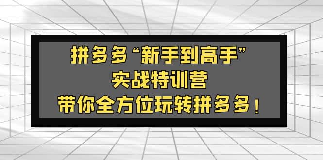 拼多多“新手到高手”实战特训营：带你全方位玩转拼多多-金创谷