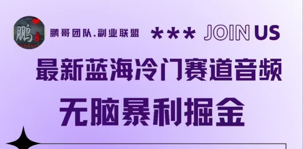 最新蓝海冷门赛道音频，无脑暴利掘金-金创谷