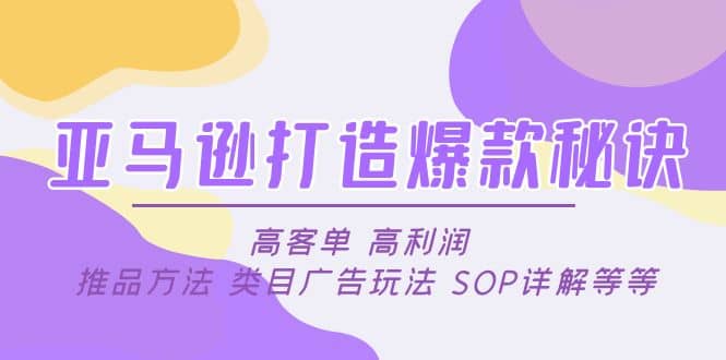 亚马逊打造爆款秘诀：高客单 高利润 推品方法 类目广告玩法 SOP详解等等-金创谷