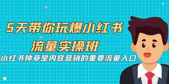 5天带你玩爆小红书流量实操班，小红书种草是内容营销的重要流量入口-金创谷