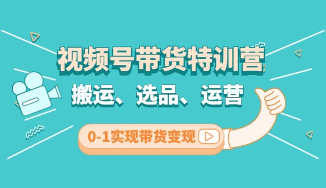 视频号带货特训营(第3期)：搬运、选品、运营、0-1实现带货变现-金创谷