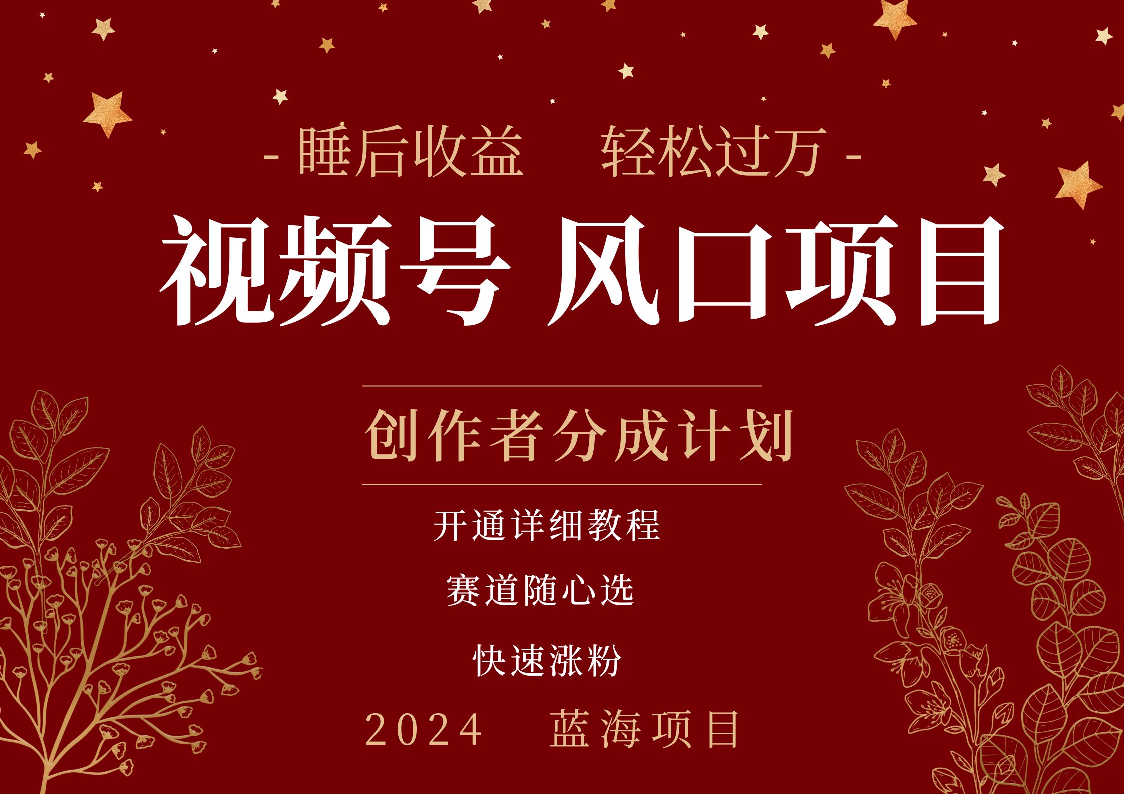 拥有睡眠收益的微信视频号大风口项目，轻松月入过万+，多赛道选择，可矩阵，玩法简单轻松上手-金创谷