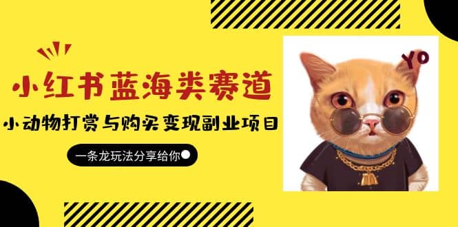 小红书蓝海类赛道：小动物打赏与购买变现副业项目，一条龙玩法分享给你-金创谷