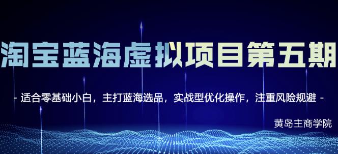 淘宝虚拟无货源3.0+4.0+5.0，适合零基础小白，主打蓝海选品，实战型优化操作-金创谷