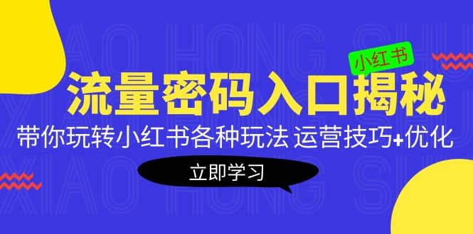 小红书流量密码入口揭秘：带你玩转小红书各种玩法 运营技巧+优化-金创谷