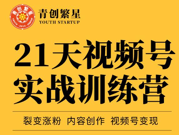 张萌21天视频号实战训练营，裂变涨粉、内容创作、视频号变现 价值298元-金创谷