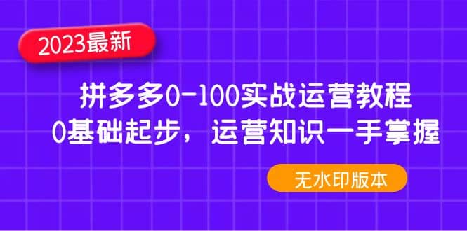 2023拼多多0-100实战运营教程，0基础起步，运营知识一手掌握（无水印）-金创谷