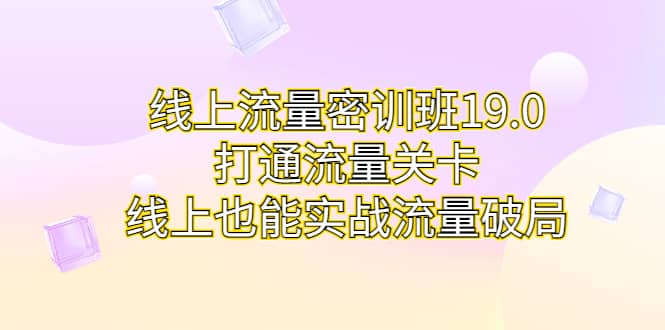线上流量密训班19.0，打通流量关卡，线上也能实战流量破局-金创谷