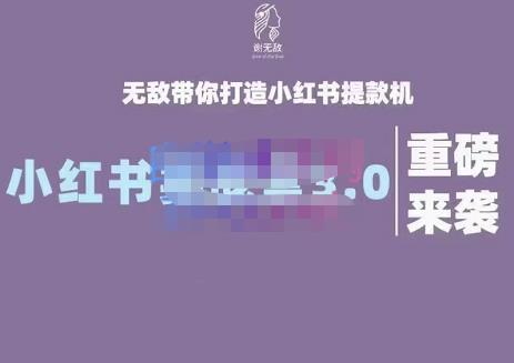 谢无敌·小红书实战营3.0，无敌带你打造小红书提款机 价值7999元-金创谷