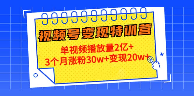 20天视频号变现特训营：单视频播放量2亿+-金创谷